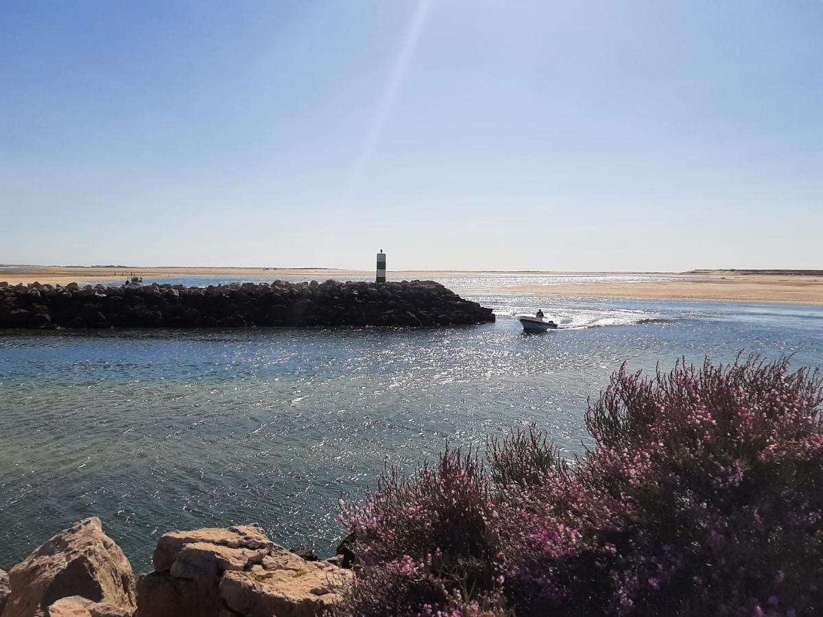 Alojamento Dias فوزيتا المظهر الخارجي الصورة