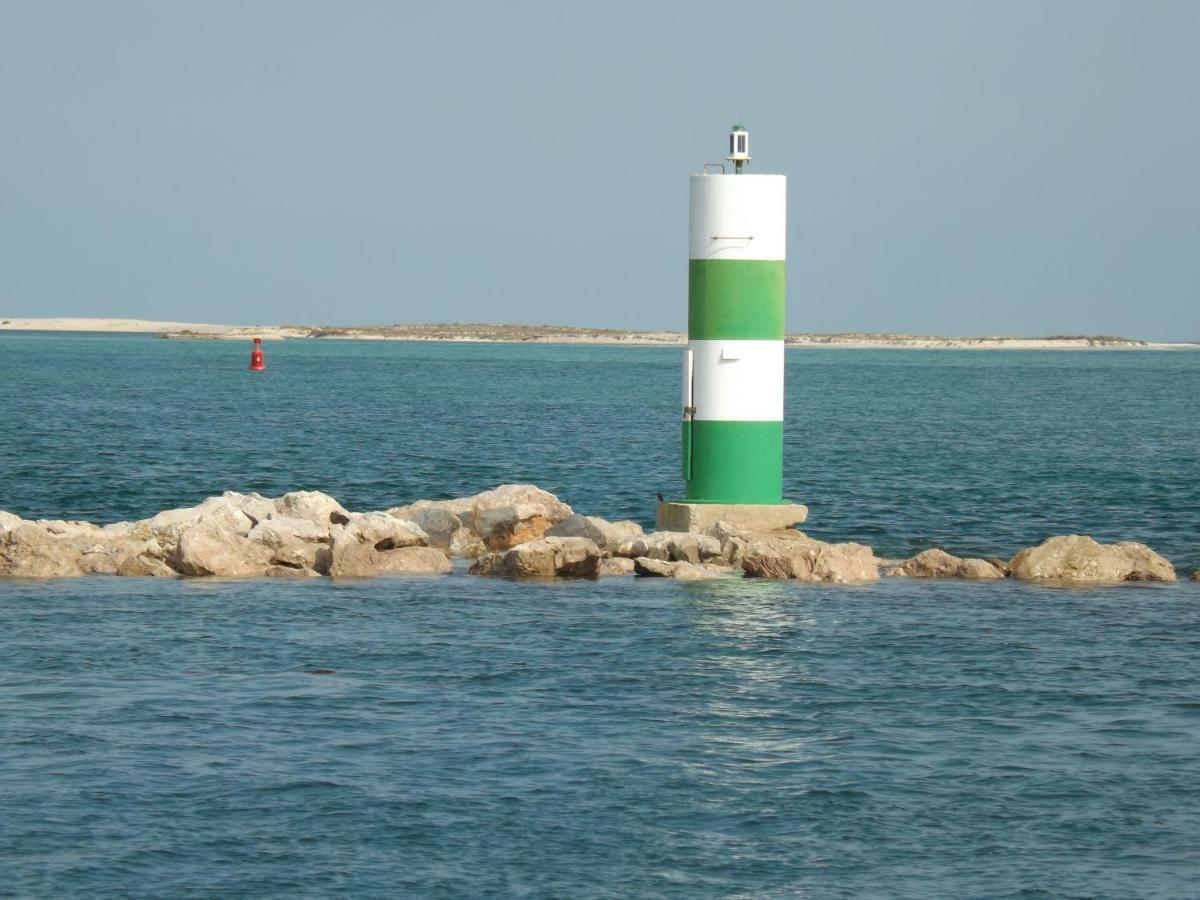 Alojamento Dias فوزيتا المظهر الخارجي الصورة